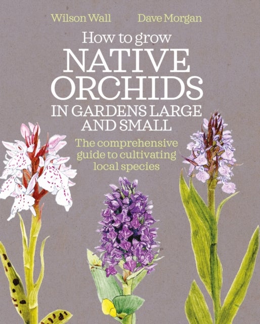 How to Grow Native Orchids in Gardens Large and Small - The comprehensive guide to cultivating local species