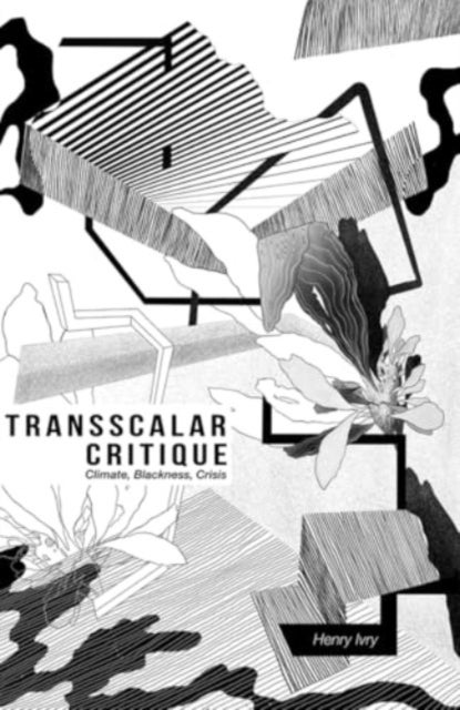 Transscalar Critique - Climate, Blackness, Crisis
