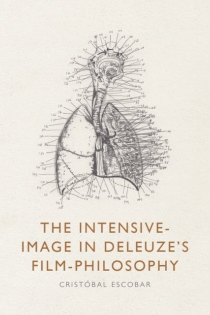 The Intensive-Image in Deleuze’s Film-Philosophy