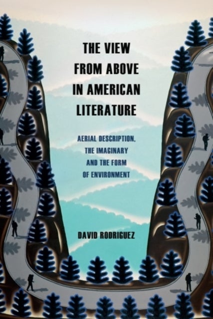 The View from Above in American Literature - Aerial Description, the Imaginary and the Form of Environment