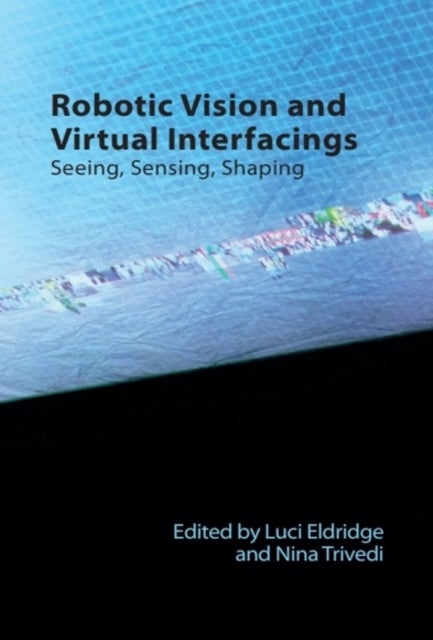 Robotic Vision and Virtual Interfacings - Seeing, Sensing, Shaping