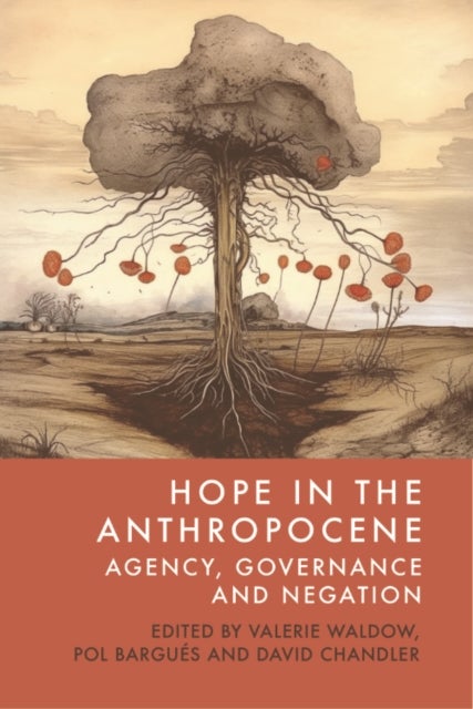 Hope in the Anthropocene - Agency, Governance and Negation