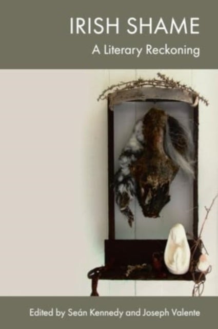 Irish Shame - A Literary Reckoning