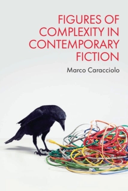 Figures of Complexity in Contemporary Fiction