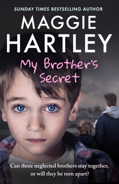 My Brother's Secret - Can three neglected brothers stay together, or will they be torn apart?
