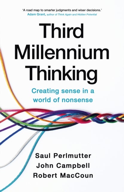 Third Millennium Thinking - Creating Sense in a World of Nonsense