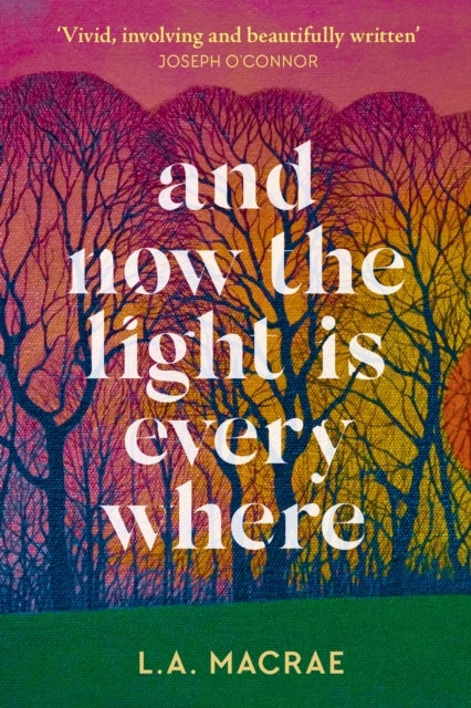 And Now the Light is Everywhere - A stunning debut novel of family secrets and redemption