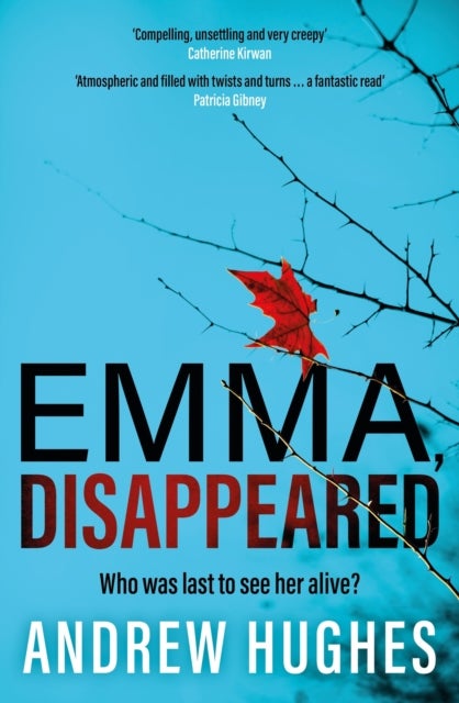 Emma, Disappeared - A gripping, twist-filled thriller where nothing is as it seems
