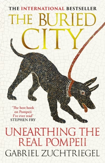 The Buried City - The Revelatory New History from the Director of Pompeii - a Sunday Times Bestseller