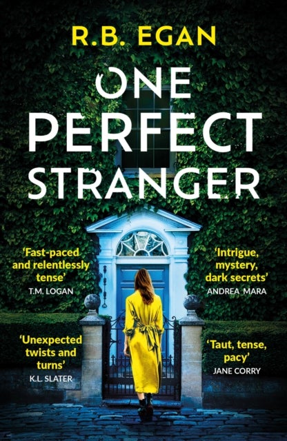 One Perfect Stranger - An utterly gripping psychological thriller with a heart-stopping twist