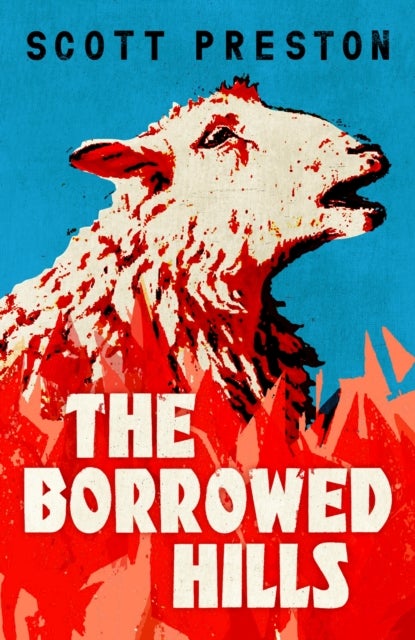 The Borrowed Hills - 'A sucker-punch of a novel' Guardian