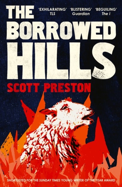 The Borrowed Hills - 'A sucker-punch of a novel' Guardian