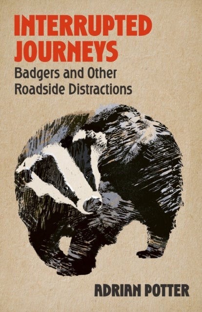 Interrupted Journeys - Badgers and Other Roadside Distractions