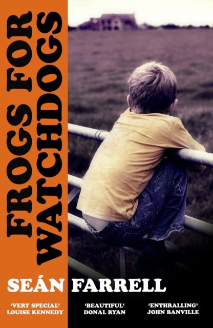 Frogs for Watchdogs - 'A stunning novel that will live long in my imagination’ DONAL RYAN