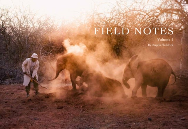Field Notes - Volume 1