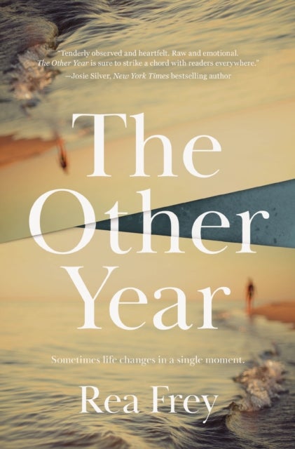 The Other Year - A Novel