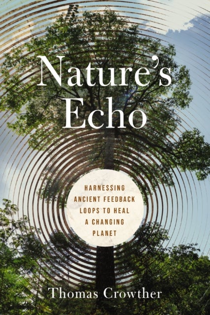 Nature's Echo - Harnessing Ancient Feedback Loops to Heal a Changing Planet