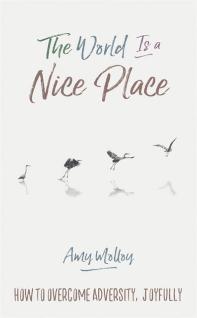 The World Is a Nice Place - How to Overcome Adversity, Joyfully