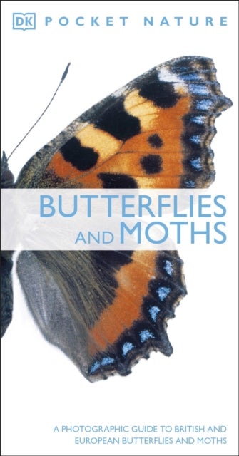 Butterflies and Moths - A Photographic Guide to British and European Butterflies and Moths