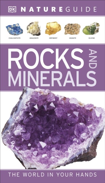 Nature Guide Rocks and Minerals - The World in Your Hands