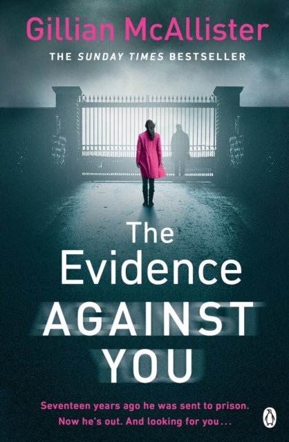 The Evidence Against You - The gripping bestseller from the author of Richard & Judy pick That Night