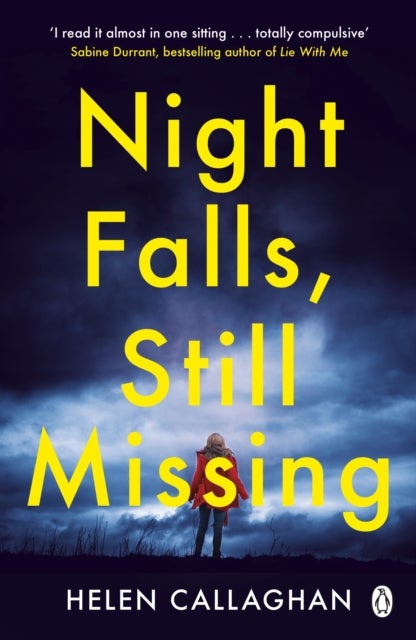 Night Falls, Still Missing - The gripping psychological thriller perfect for the cold winter nights