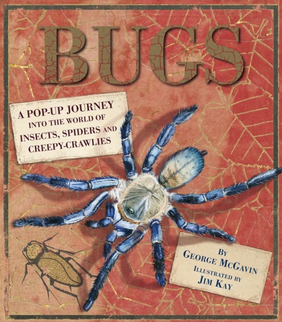 Bugs - This beautifully illustrated book is perfect for young children with fascination and desire to learn more about the world of creepy-crawlies.