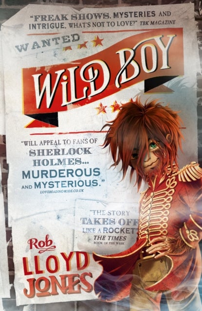 Wild Boy - A pacy mystery adventure story set in the smoggy underworld of Victorian London, perfect for fans of detective fiction aged 9, 10, 11, 12