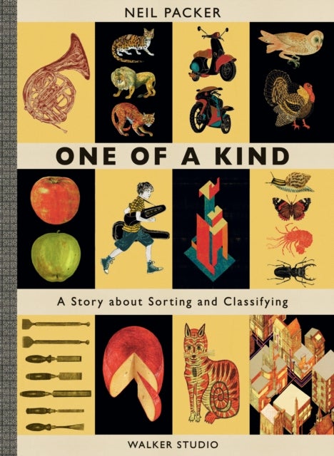 One of a Kind - A Story About Sorting and Classifying