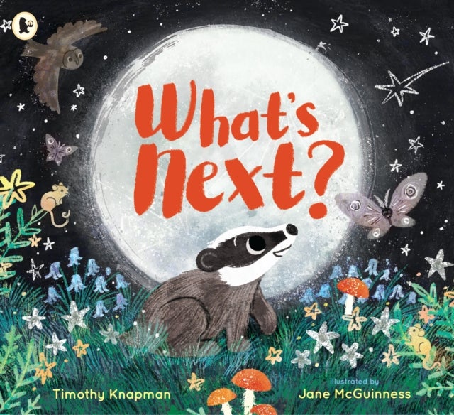 What's Next? - A tender father-and-son adventure for 3-7 year olds to share with Dad, perfect for bedtime