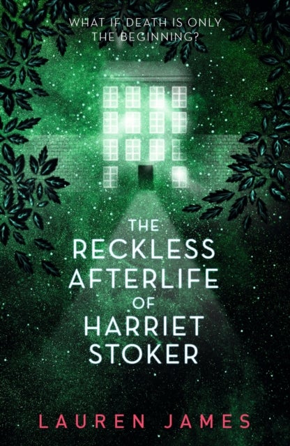 The Reckless Afterlife of Harriet Stoker - A twisty, atmospheric and wickedly funny ghost story - for fans of supernatural thrillers and morally grey protagonists