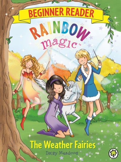Rainbow Magic Beginner Reader: The Weather Fairies - Book 2