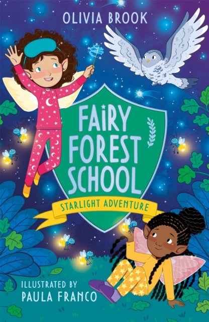 Fairy Forest School: Starlight Adventure - Book 6