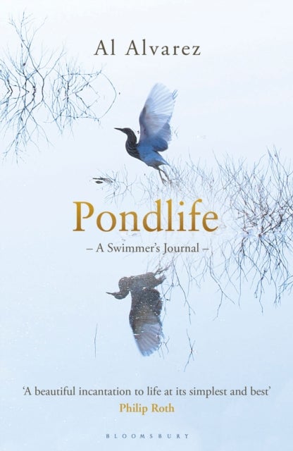 Pondlife - A Swimmer's Journal
