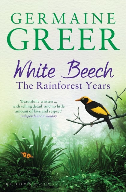 White Beech - The Rainforest Years