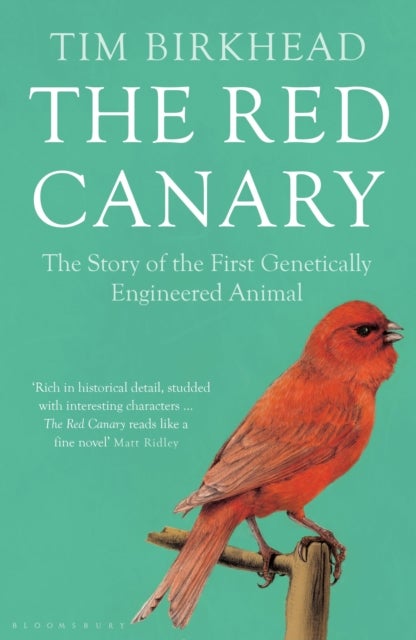The Red Canary - The Story of the First Genetically Engineered Animal