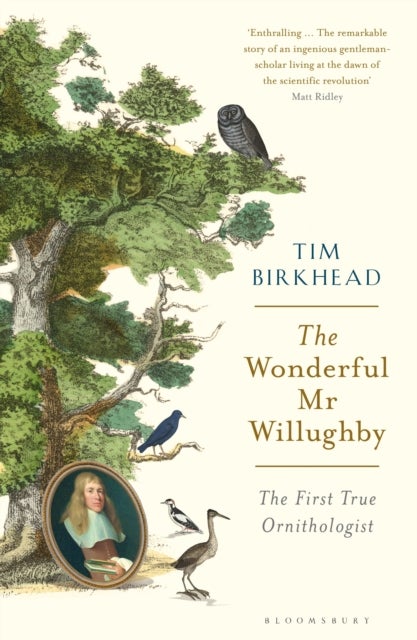 The Wonderful Mr Willughby - The First True Ornithologist
