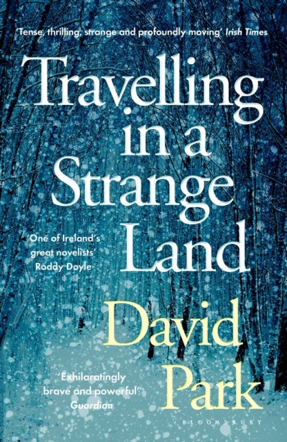 Travelling in a Strange Land - Winner of the Kerry Group Irish Novel of the Year