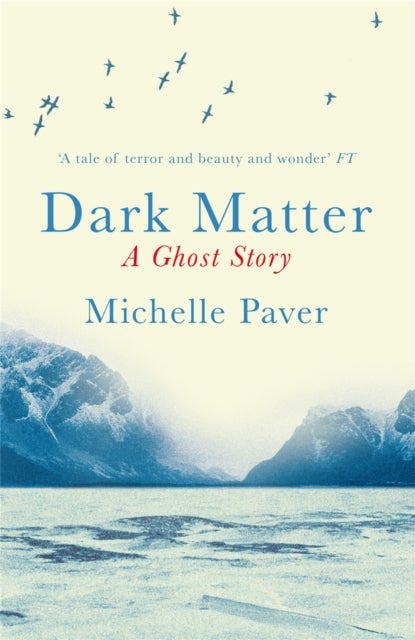 Dark Matter - a ghost story