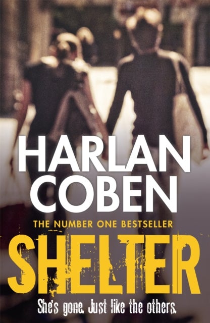 Shelter - From the Number One bestselling creator of the hit Netflix series Missing You
