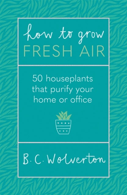 How To Grow Fresh Air - 50 Houseplants To Purify Your Home Or Office