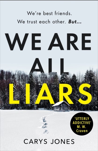 We Are All Liars - The 'utterly addictive' winter thriller with twists you won't see coming