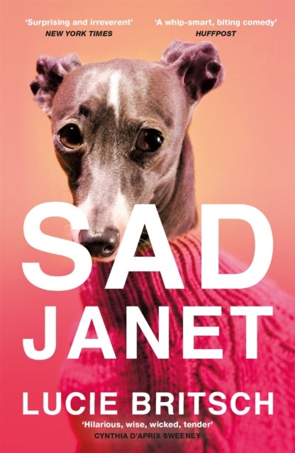 Sad Janet - ‘A whip-smart, biting tragicomedy’ HuffPost