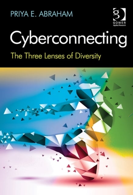 Cyberconnecting - The Three Lenses of Diversity