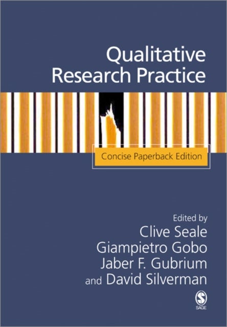 Qualitative Research Practice - Concise Paperback Edition