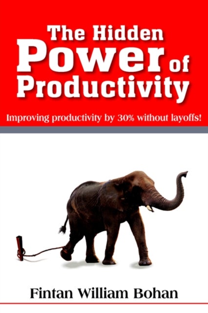 The Hidden Power of Productivity - Improving Productivity by 30% without Layoffs!