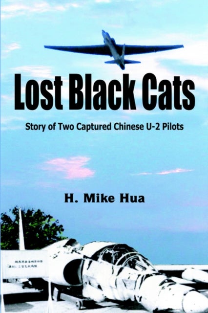 Lost Black Cats