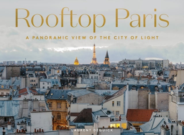Rooftop Paris - A Panoramic View of the City of Light