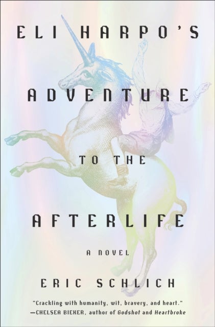 Eli Harpo's Adventure to the Afterlife - A Novel
