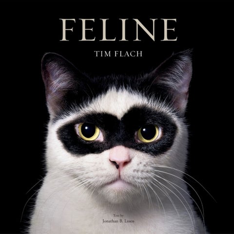 Feline - Photographs